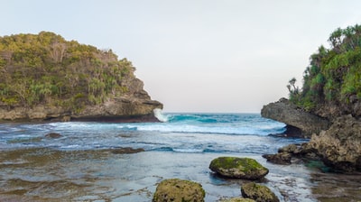 白天在水体旁形成绿色和棕色的岩石